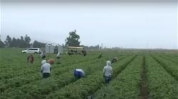 farm