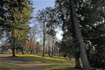 tacoma-wa-wright-park-01
