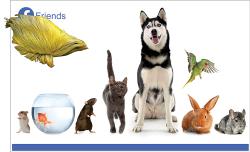 friendship-1