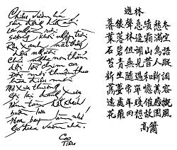 cao-tieu-2000